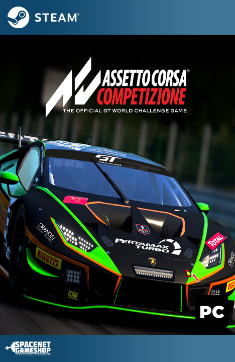 Assetto Corsa Competizione Steam [Account]